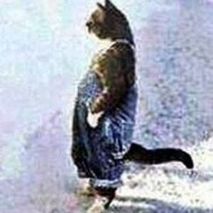 Meet your Posher, Joanne